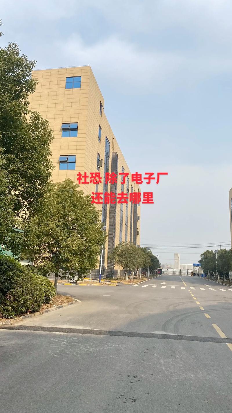 27岁,电子厂,我的青春四千五百元#进厂打螺丝 @dou+
